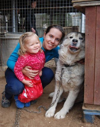 Husky Nursery in Russia Husky Nursery in Russia