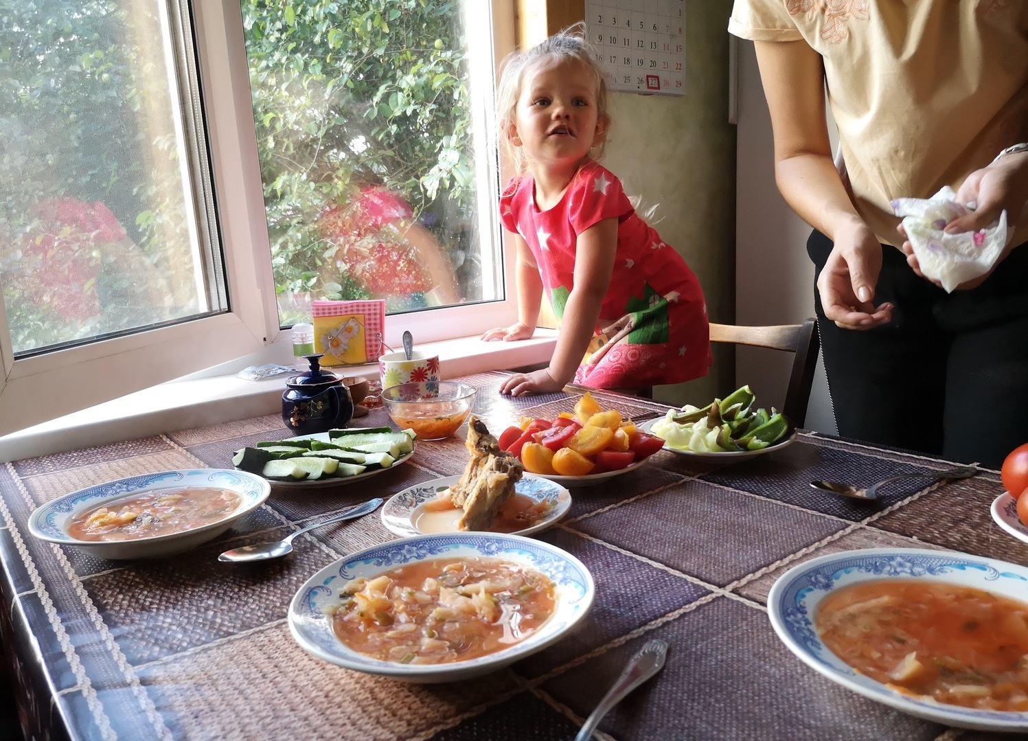 Traditional bortsch in the Russian Village