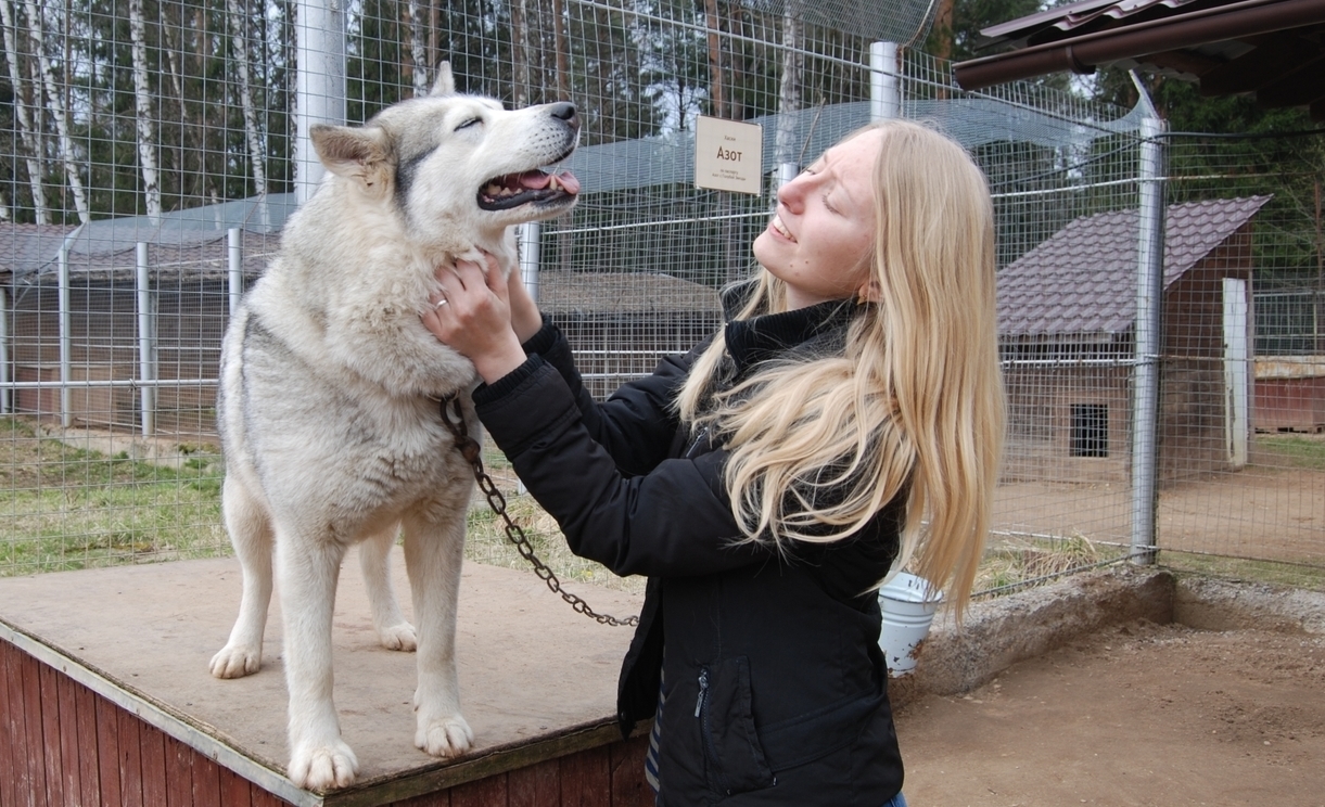 Husky Nursery in Russia