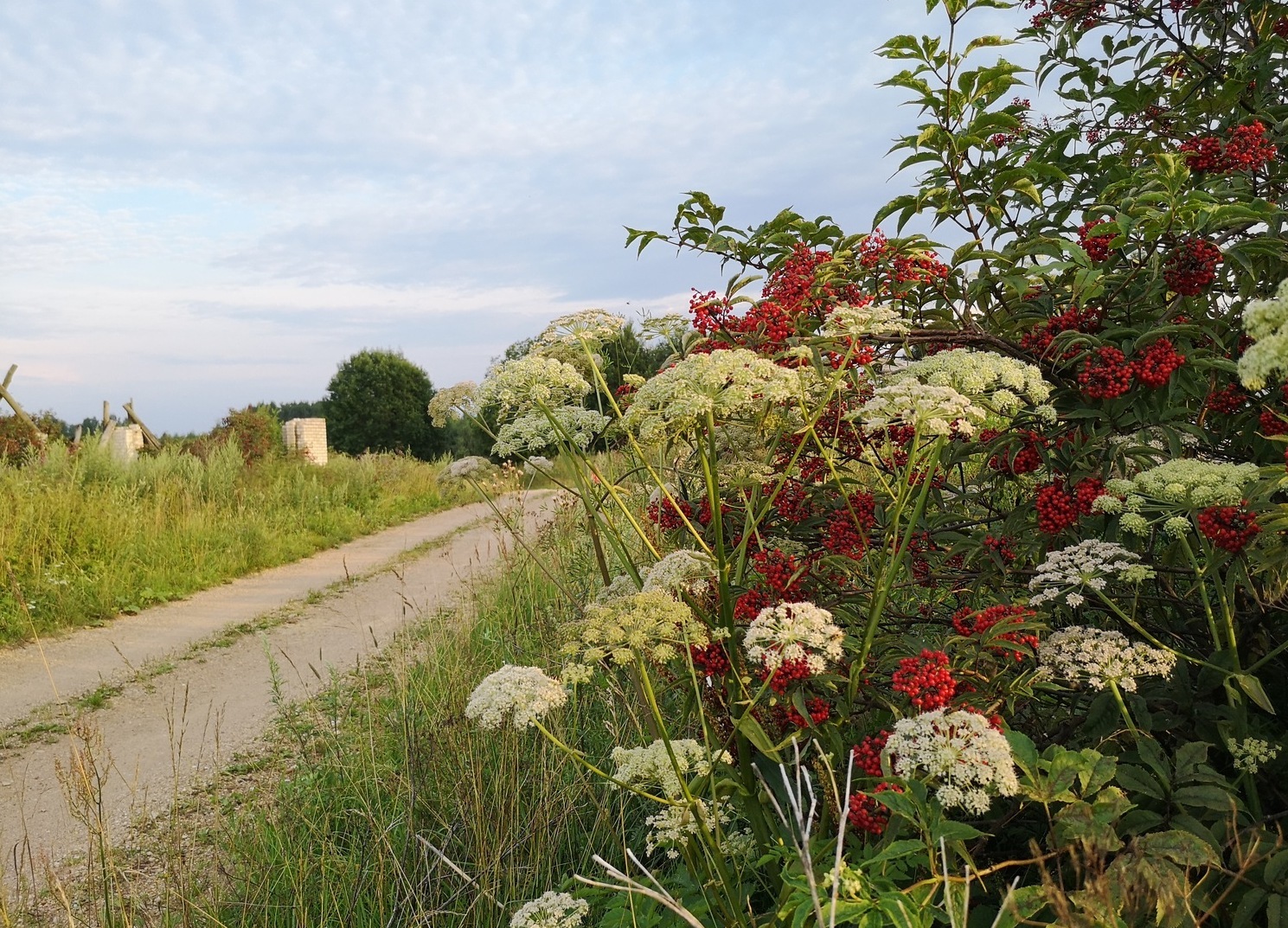 Small road in Russian Village