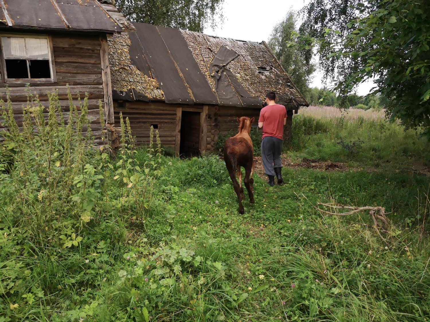 Life in Russian Villages Our Journey to the Rural Russia