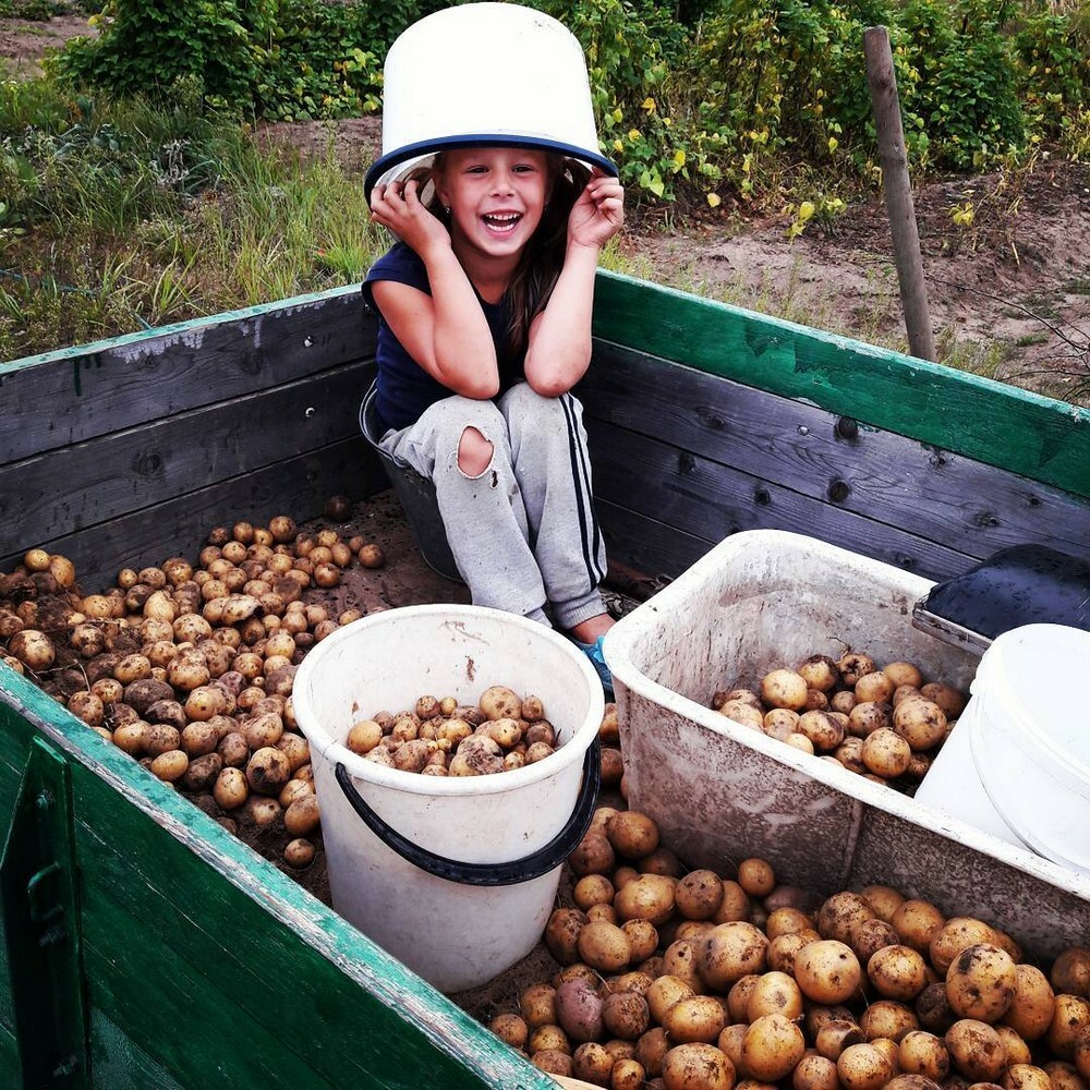 Russian Dacha: History Behind Culture of Family Estate in Russia